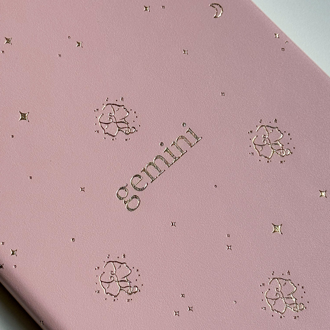 Gemini Notebook